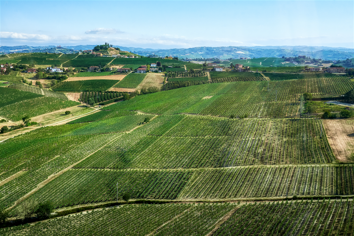 Panorama vista bricco Lu
